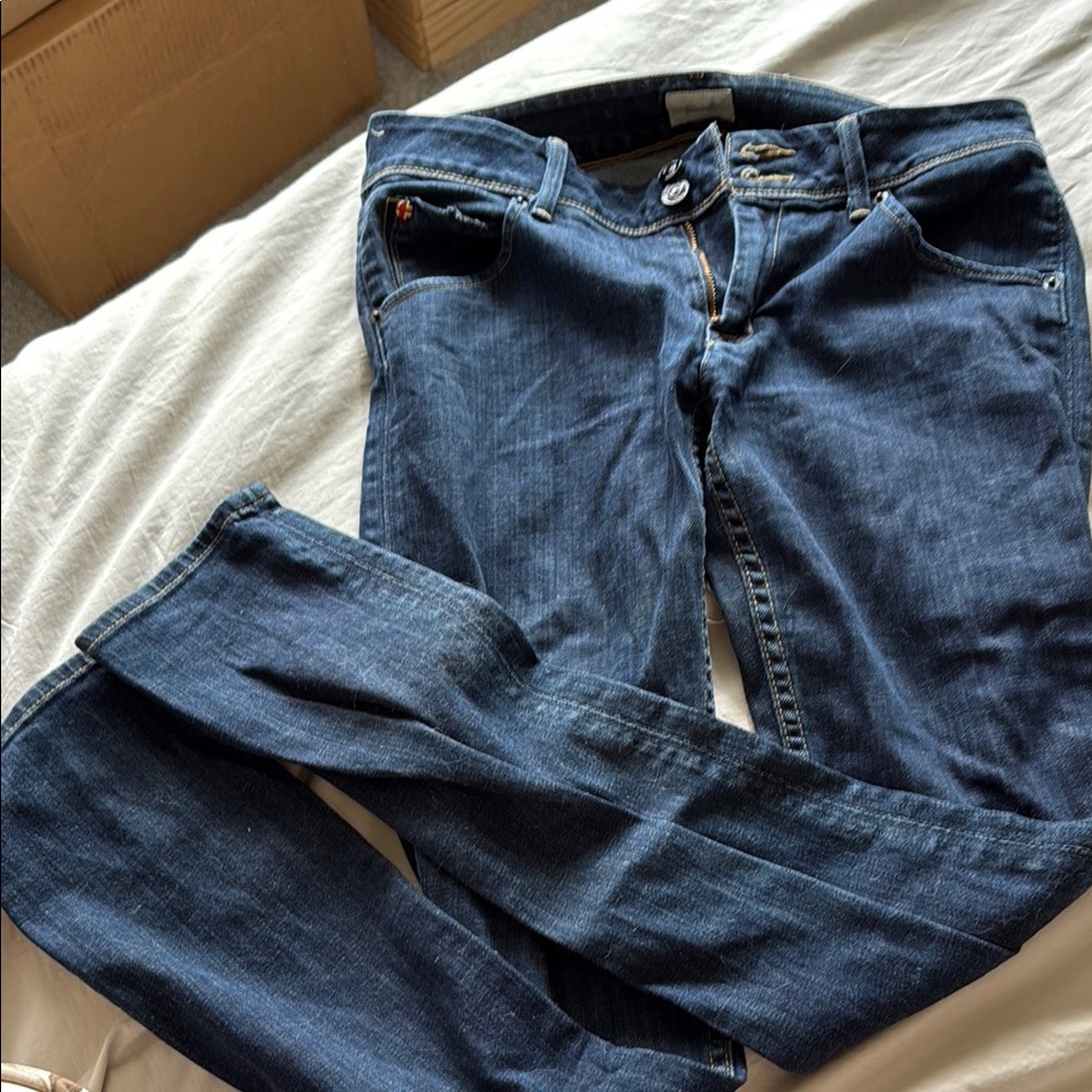 Hudson Jeans Blue Skinny Denim